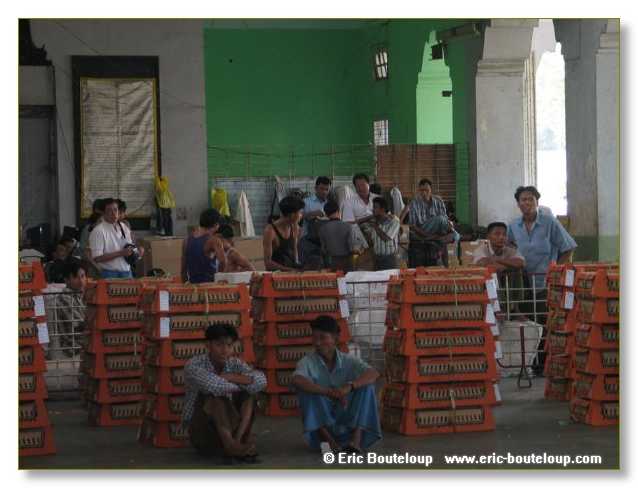 020_BIRMANIE_2k3_Yangoon