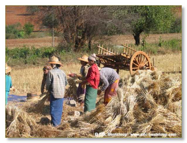 039_BIRMANIE_2k3_Pindaya