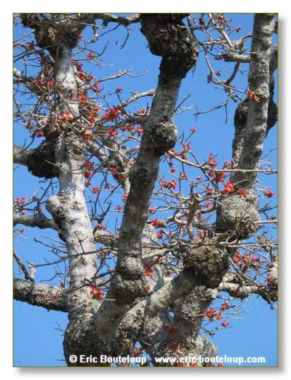 071_BIRMANIE_2k3_Lac_Inle