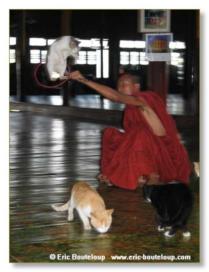 087_BIRMANIE_2k3_Lac_Inle