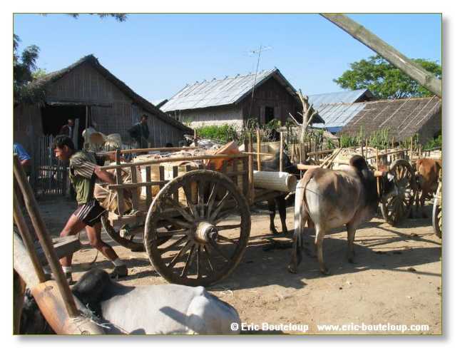 099_BIRMANIE_2k3_Lac_Inle