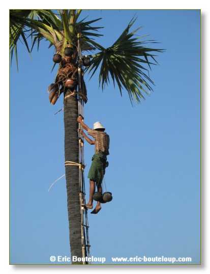 243_BIRMANIE_2k3_Padan