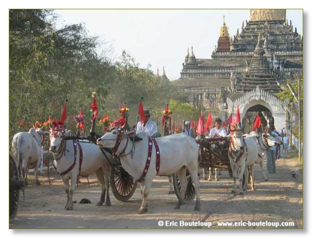 251_BIRMANIE_2k3_Padan