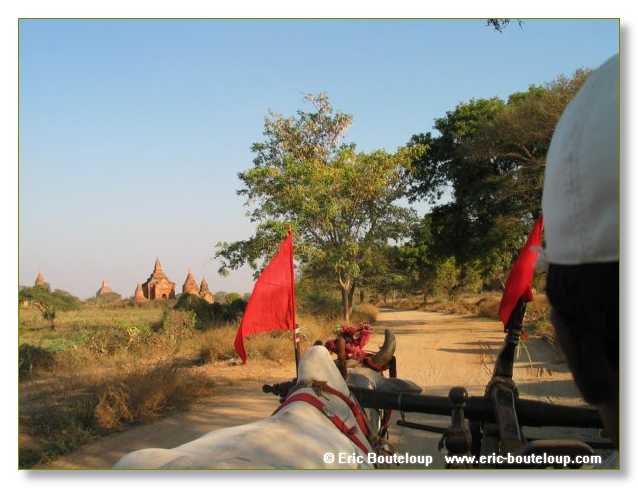 252_BIRMANIE_2k3_Padan