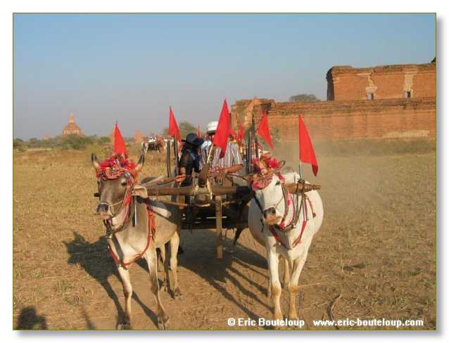 253_BIRMANIE_2k3_Padan