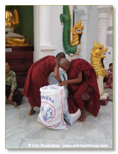 033_BIRMANIE_2006_03