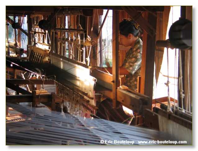 096_BIRMANIE_2006_03