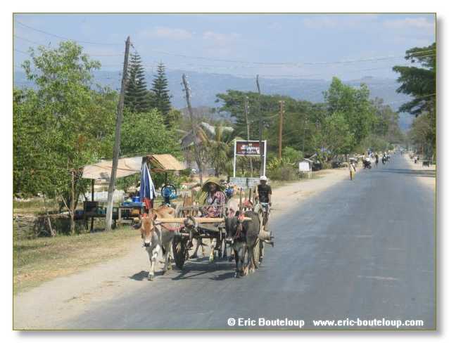 134_BIRMANIE_2006_03