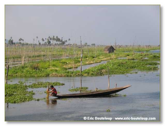 143_BIRMANIE_2006_03