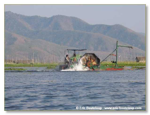 151_BIRMANIE_2006_03