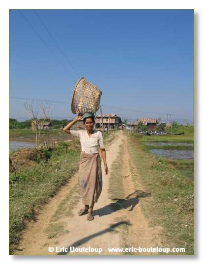 193_BIRMANIE_2006_03