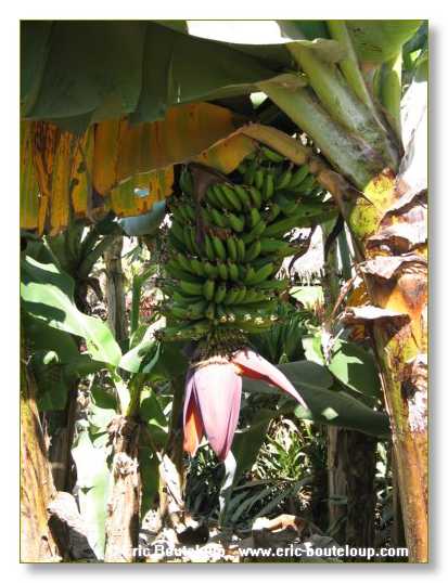 198_BIRMANIE_2006_03