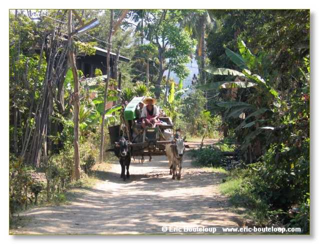 199_BIRMANIE_2006_03