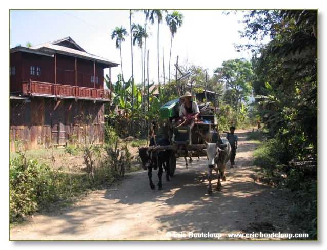 200_BIRMANIE_2006_03