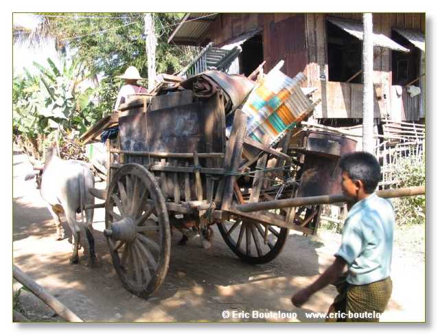 201_BIRMANIE_2006_03