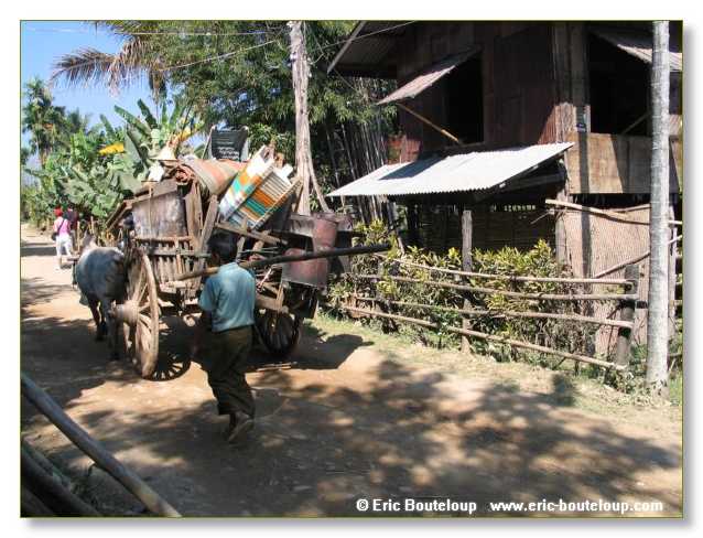 202_BIRMANIE_2006_03