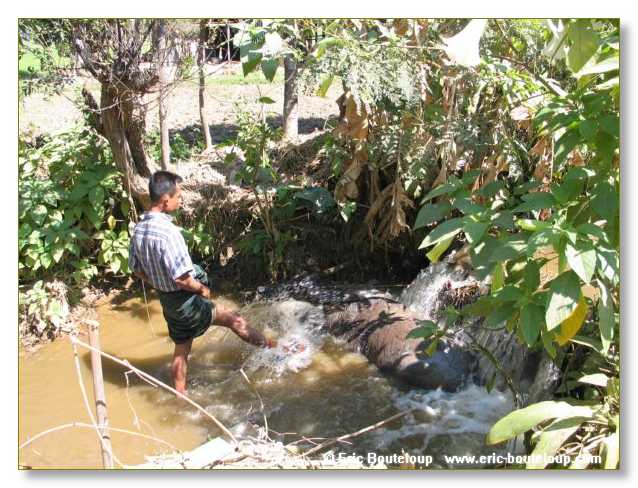 219_BIRMANIE_2006_03