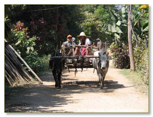 221_BIRMANIE_2006_03