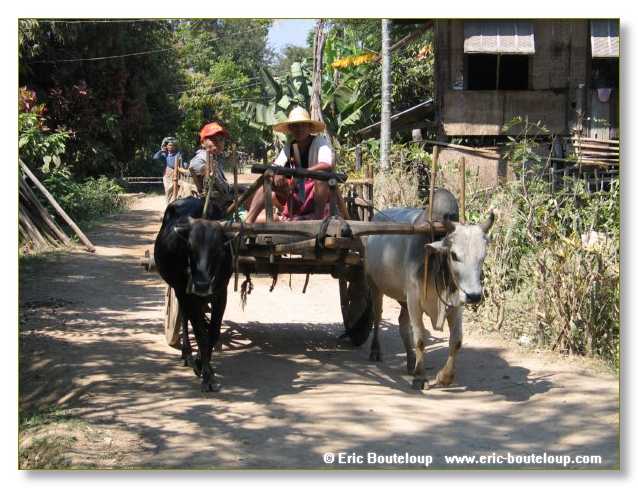 222_BIRMANIE_2006_03