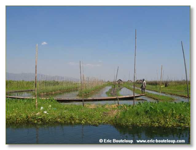 225_BIRMANIE_2006_03