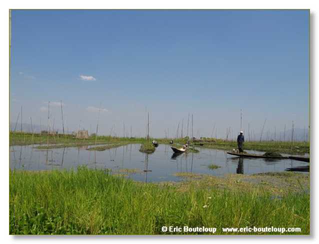 232_BIRMANIE_2006_03