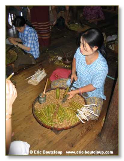 238_BIRMANIE_2006_03