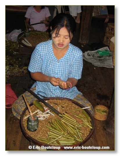 240_BIRMANIE_2006_03