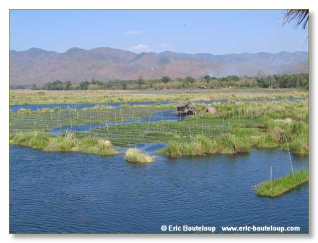 243_BIRMANIE_2006_03