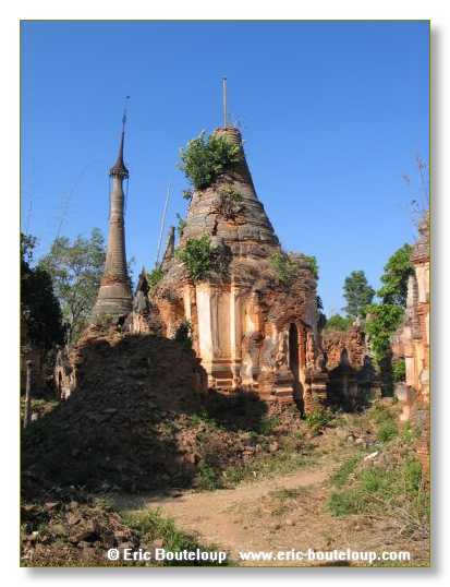 256_BIRMANIE_2006_03