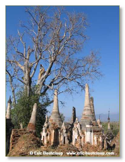 264_BIRMANIE_2006_03