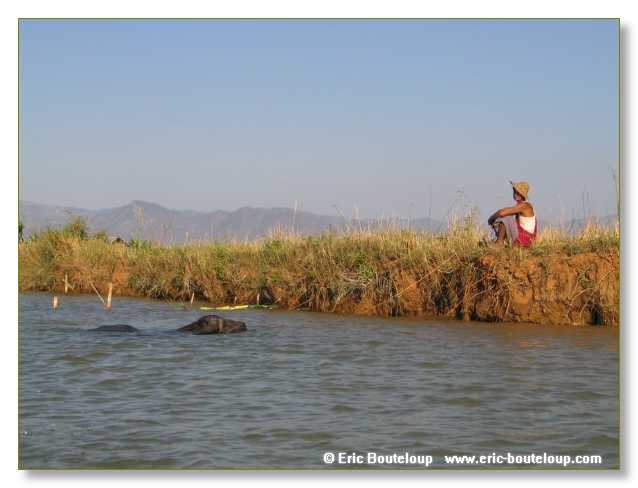 267_BIRMANIE_2006_03