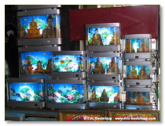 295_BIRMANIE_2006_03