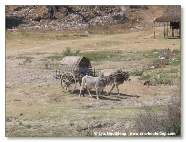 345_BIRMANIE_2006_03