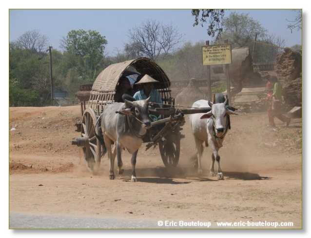 348_BIRMANIE_2006_03