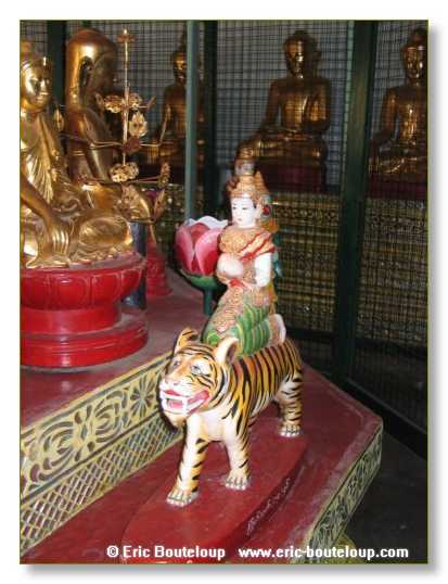 431_BIRMANIE_2006_03