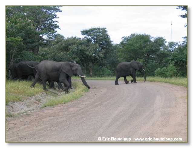 023_BOTSWANA_ZAMBIE_2005_Mars