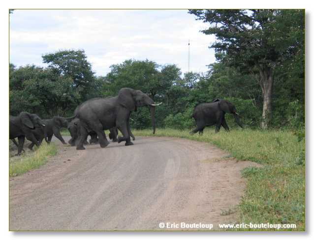 024_BOTSWANA_ZAMBIE_2005_Mars
