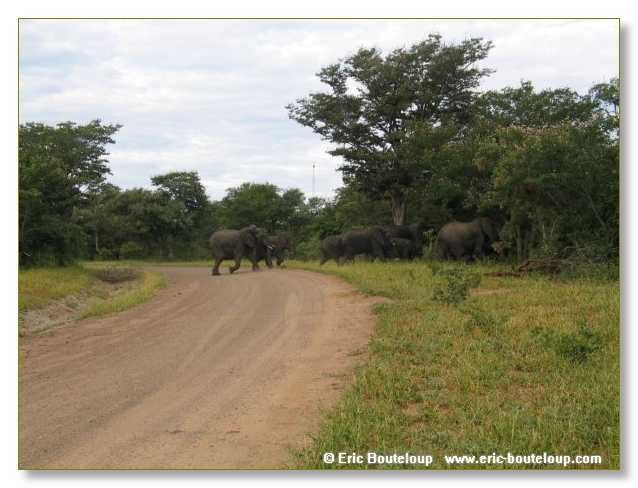 025_BOTSWANA_ZAMBIE_2005_Mars