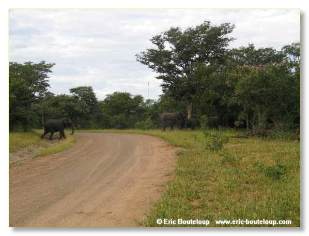 027_BOTSWANA_ZAMBIE_2005_Mars