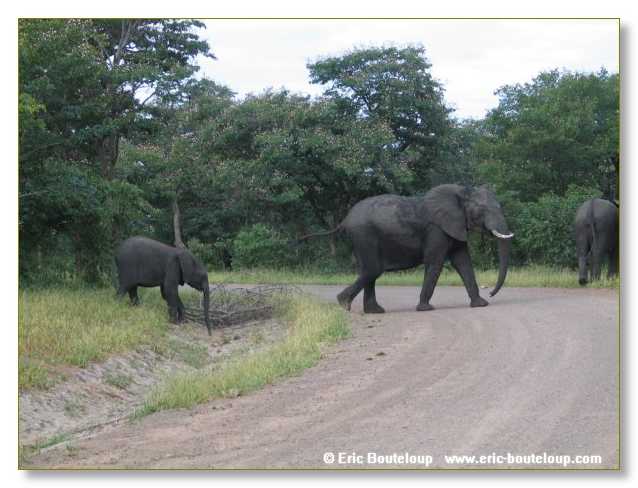 028_BOTSWANA_ZAMBIE_2005_Mars