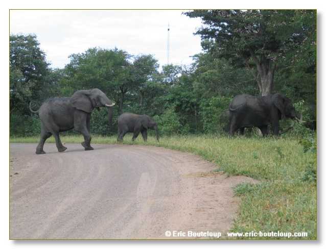 030_BOTSWANA_ZAMBIE_2005_Mars