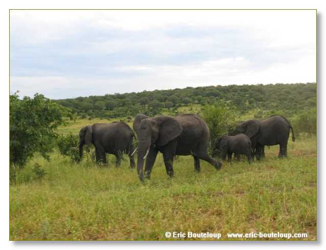 031_BOTSWANA_ZAMBIE_2005_Mars