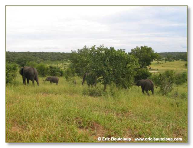 033_BOTSWANA_ZAMBIE_2005_Mars