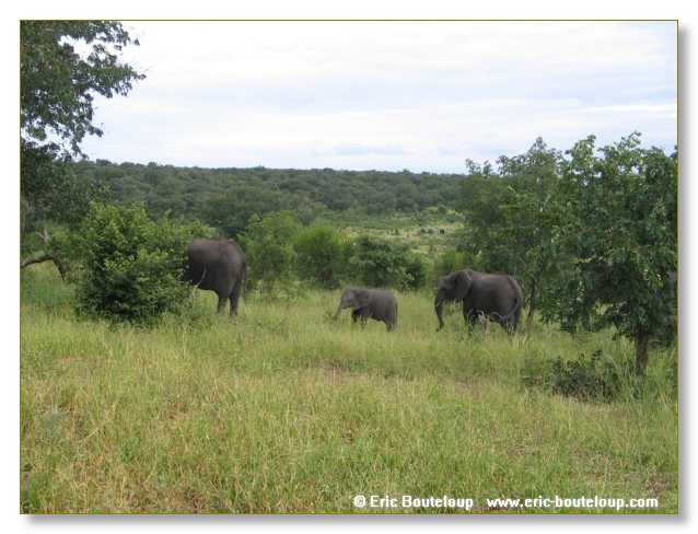 034_BOTSWANA_ZAMBIE_2005_Mars