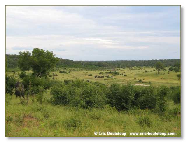 035_BOTSWANA_ZAMBIE_2005_Mars