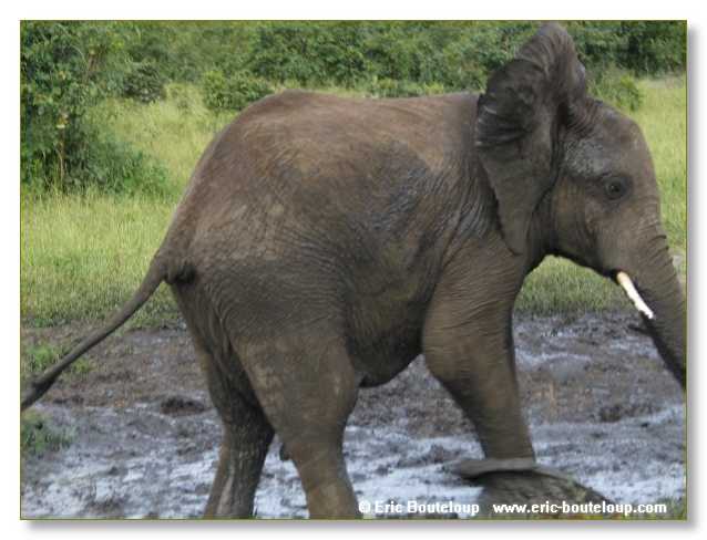 036_BOTSWANA_ZAMBIE_2005_Mars