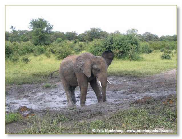 038_BOTSWANA_ZAMBIE_2005_Mars