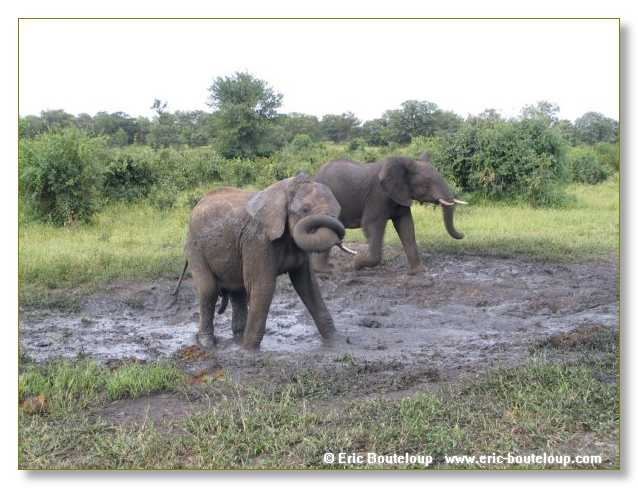 040_BOTSWANA_ZAMBIE_2005_Mars