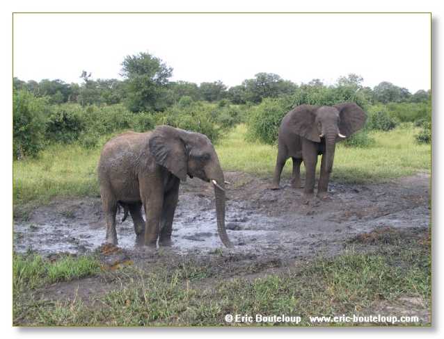 041_BOTSWANA_ZAMBIE_2005_Mars