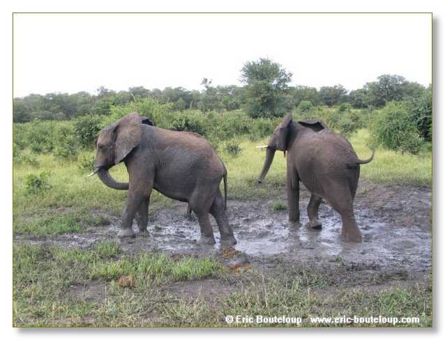 044_BOTSWANA_ZAMBIE_2005_Mars